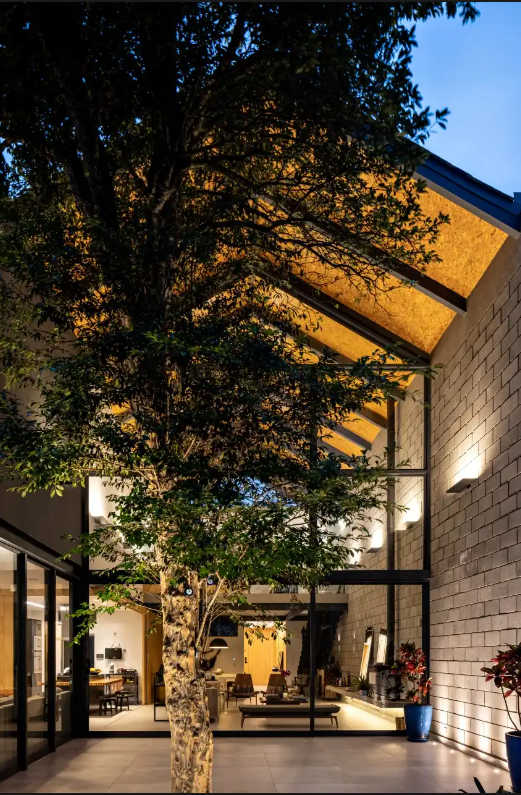 A imagem mostra os fundos de uma casa, que possui uma árvore e alguns vasos com flores nas extremidades. 