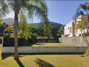 A imagem mostra um terreno plano no meio de uma casa e de um outro terreno. Ao lado, podemos ver uma árvore e ao fundo um monte.
